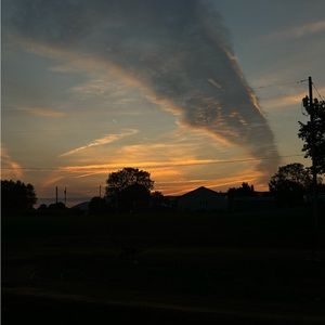 Meet your Posher, Lily